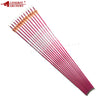12pcs Linkboy Archery Carbon Arrows Spine 600 with 80gr Point Pin Nock for Bow Hunting Free Shipping