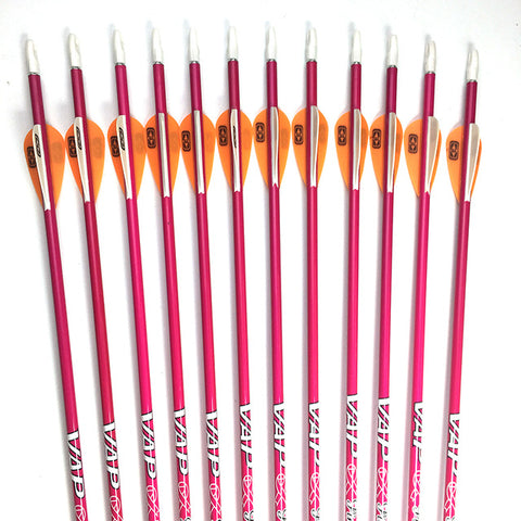 12pcs Linkboy Archery Carbon Arrows Spine 600 with 80gr Point Pin Nock for Bow Hunting Free Shipping